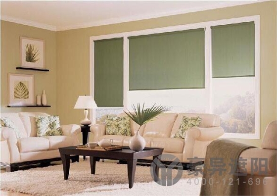 卷帘,电动卷帘,家用电动卷帘,上海豪异遮阳,4000-121-696