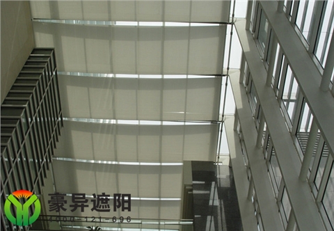FSS电动天棚帘