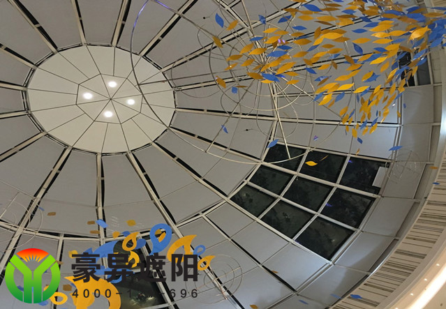 FTS电动天棚帘,豪异遮阳,4000-121-696